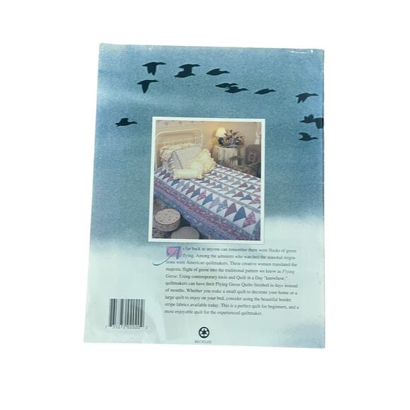 Flying Geese Quilt‎ In A Day Pattern Series Paperback Booklet Eleanor Burns - Picture 2 of 3